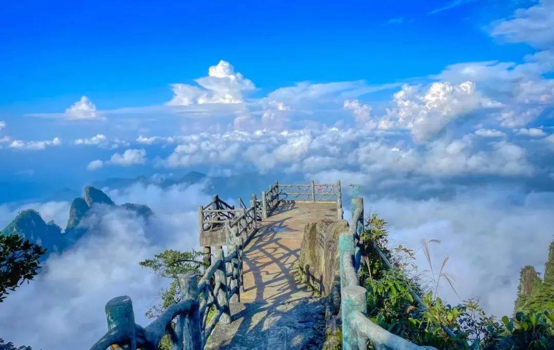 悬崖栈道上漫步,看流云飘动,呼吸山间最新鲜的自由空气雄奇壮美的莽山