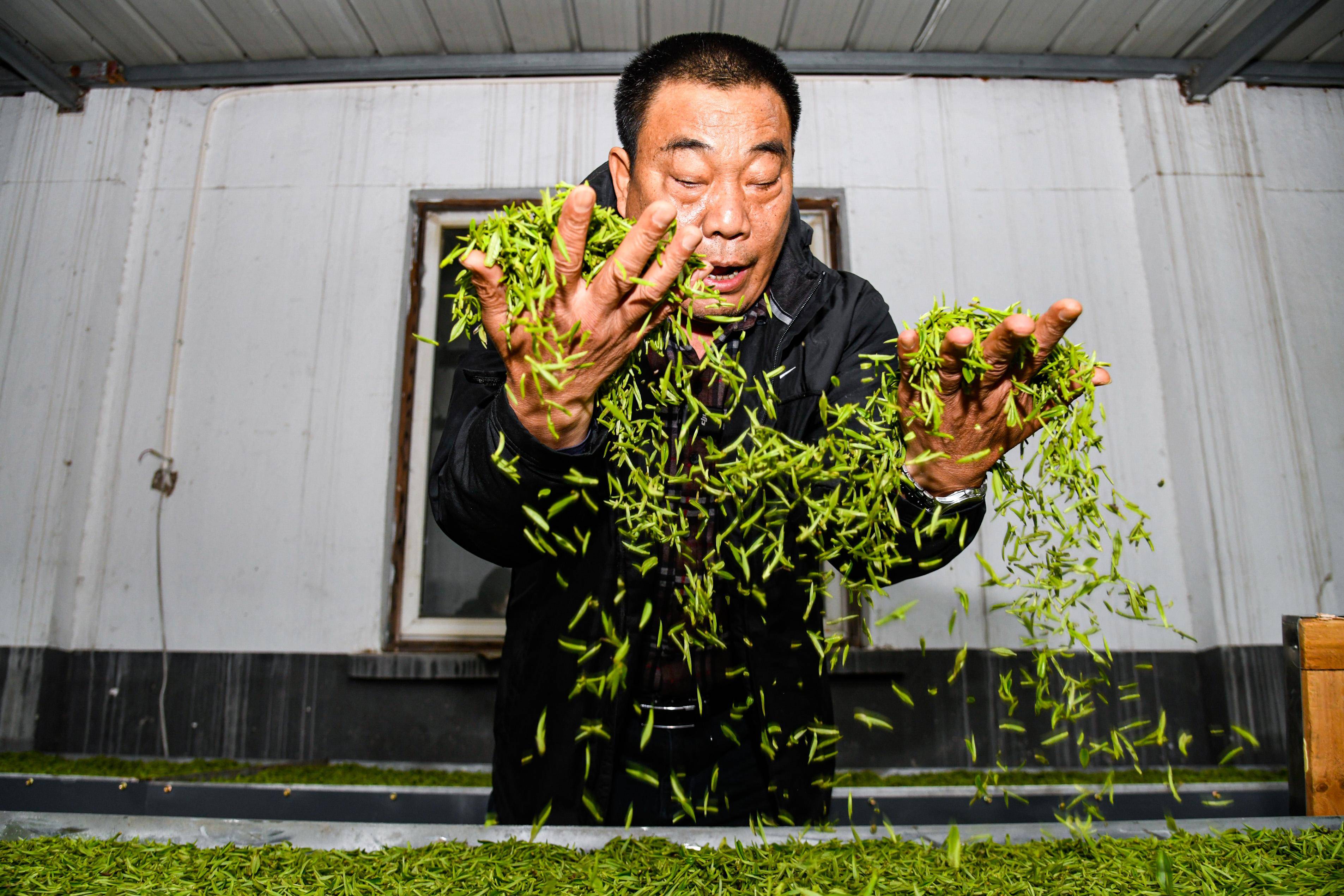 方麓茶场,茅麓茶场,御庭春茶业等一大批茶园茶厂,有钱罗洪,王国林两位