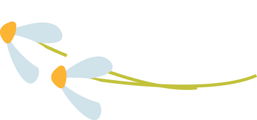 支教送课促提质笃行致远共成长深圳市坪山区教师团队