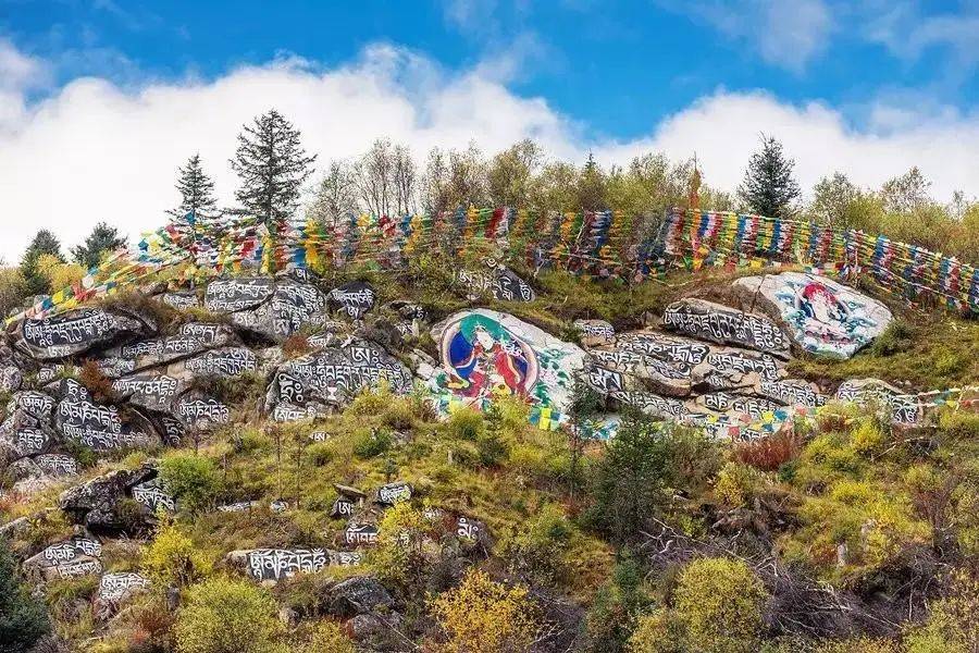 蜀山之王61伍须海61日鲁库湿地61甲根坝61泉华滩4日游自驾