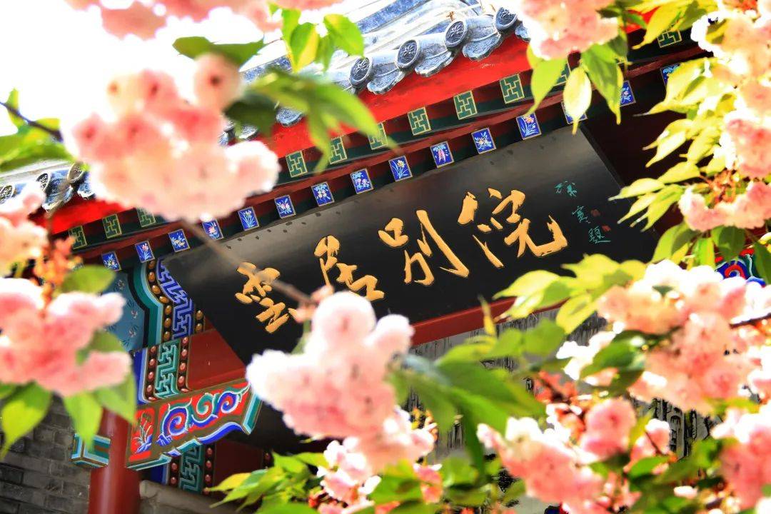 春赏花海觅芬芳花花世界陆续上新房山赏花指南请收好