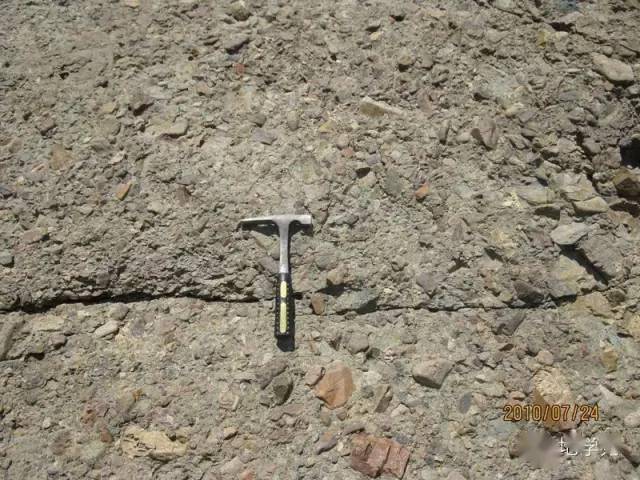 六十张野外常见地质现象_准噶尔_砂岩_化石