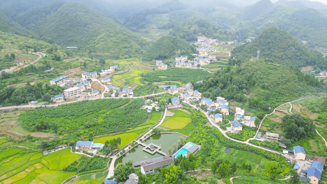 乡村行看振兴茅栗镇壮大集体经济赋能乡村振兴