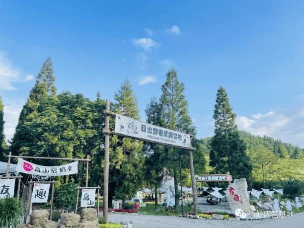 火棘,森林,草场四大特色资源集山,林,草,石,畜于一体千野草场景区内