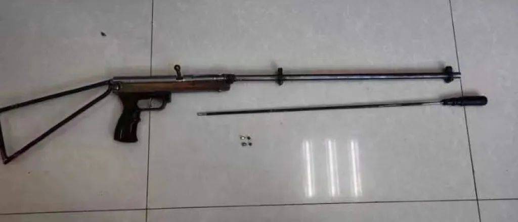 村西侧道路拐弯处使用弹弓,自制枪支非法捕杀1只野鸡后被公安机关查获