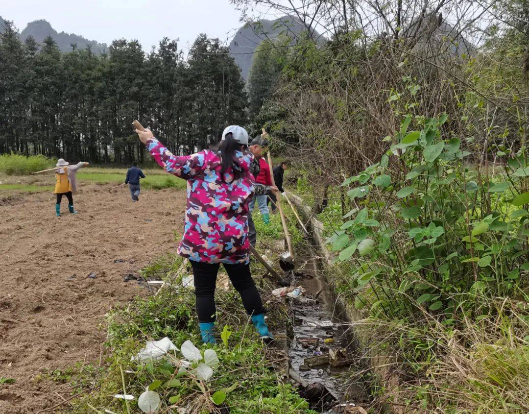 清塘鎮疏通小水渠潤澤大民心