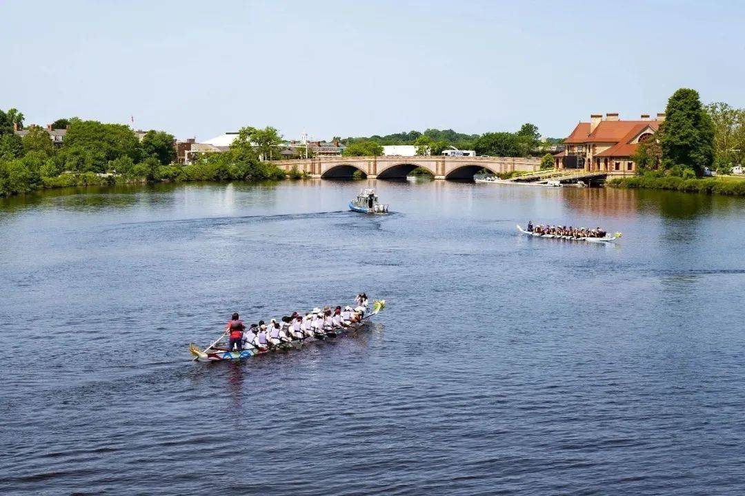 hcssa龙舟队招募harvardchinadragon期待你的加入