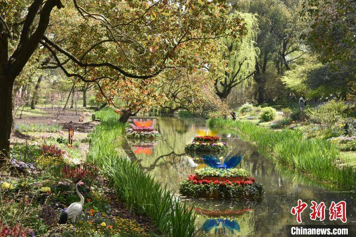 春回申城沪人百花丛中享受自然野趣