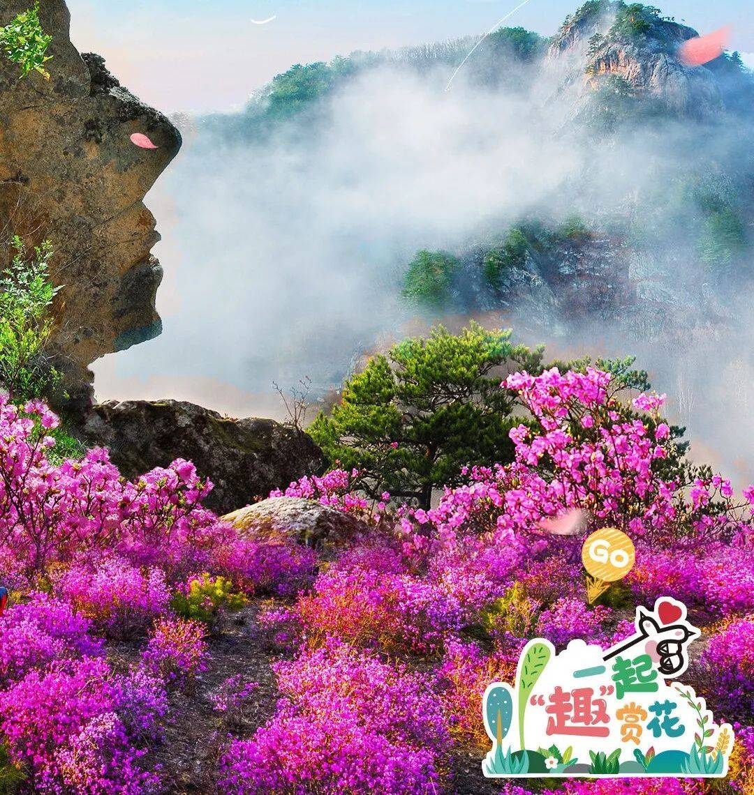 一起奔赴春意盎然的山水间!_花瓣_花朵_延吉