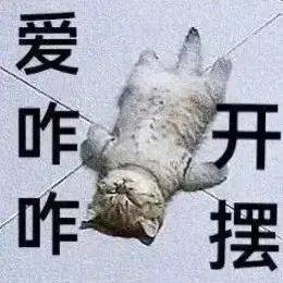 摆烂表情包合集