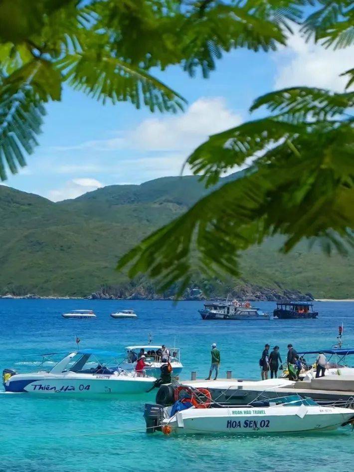 芽庄攻略!全网最值懒人出海度假超全指南!_越南_海滩_行程