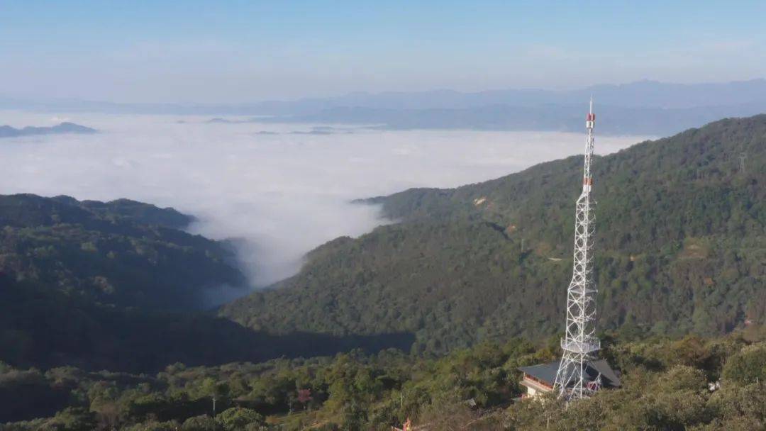 澜沧县多措并举全方位抓实森林防火工作