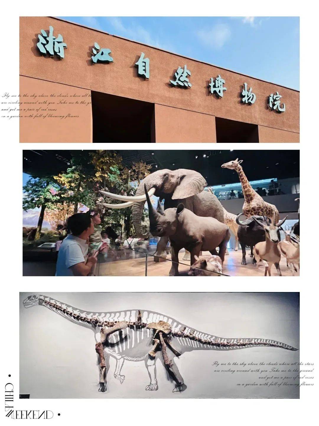 山水清明假期自组团4月56日安吉挖笋品茶汉服打卡自然博物馆中南