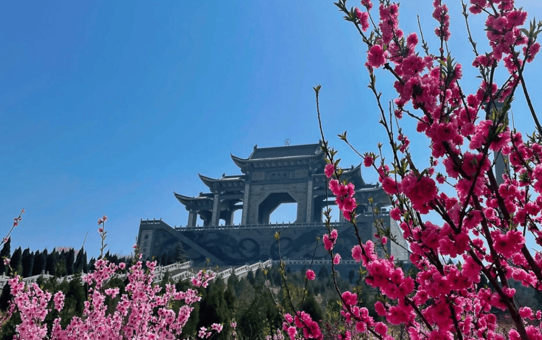 东风送暖,春回大地,新绿的枝条和粉红的花朵相映成趣,与远处的大伾山