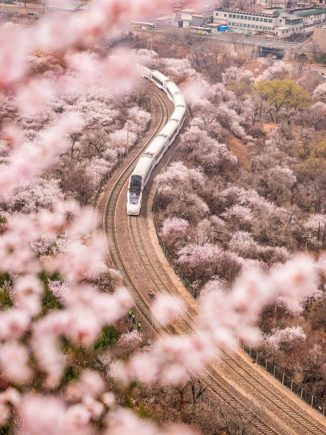 居庸关南口图片