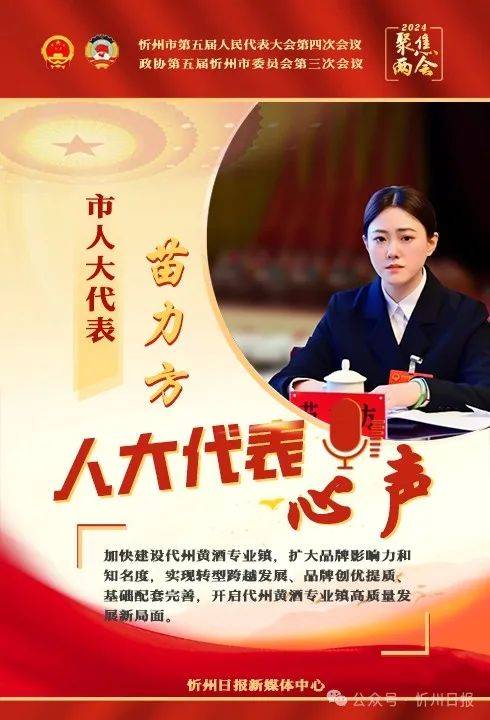 海报两会心声人大代表建言献策