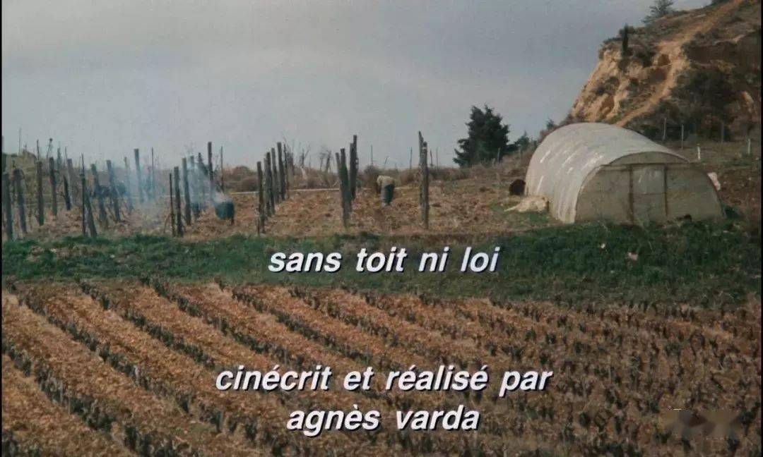 我不是女电影人我是电影人瓦尔达逝世5周年