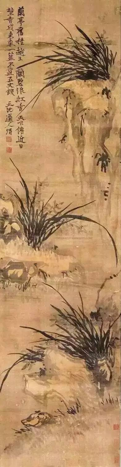 明 马守真《长春图》 明 蓝瑛《玉堂芝兰图》 明 孙克弘《水仙兰花