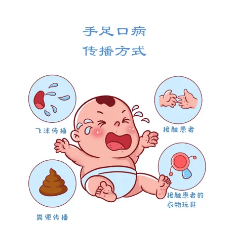 患者和隐性感染者为手足口病传染源,隐性感染比例较大.