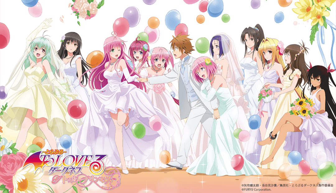 消失的后宫动画