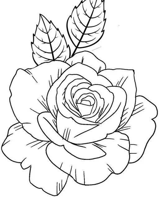 35张花卉线稿资料收藏备用