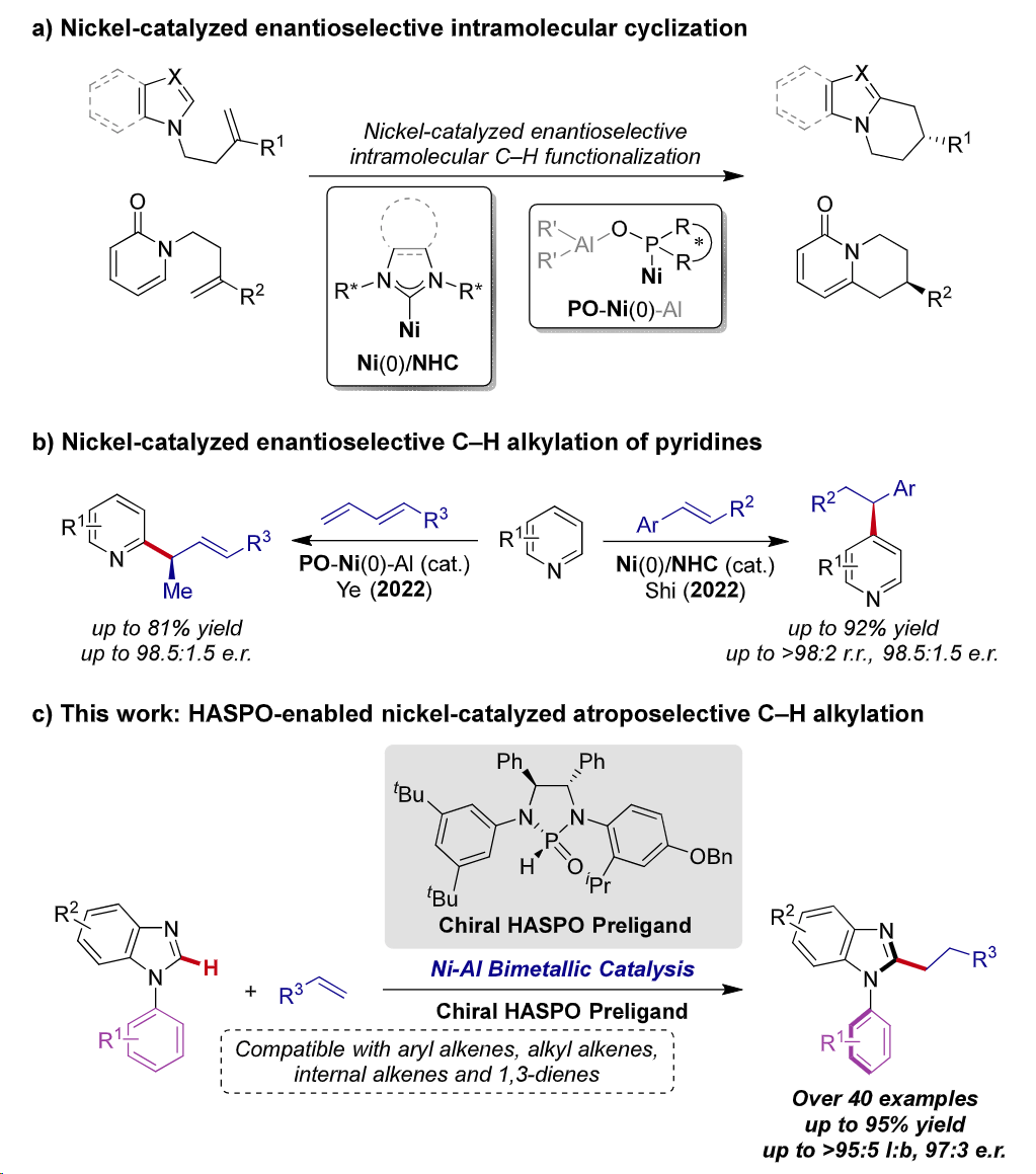 lutzackermann团队nial双金属催化构建cn轴手性