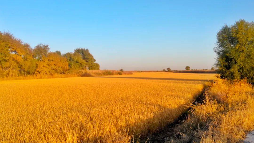 兵心分享兴心相印聆听我们的故事