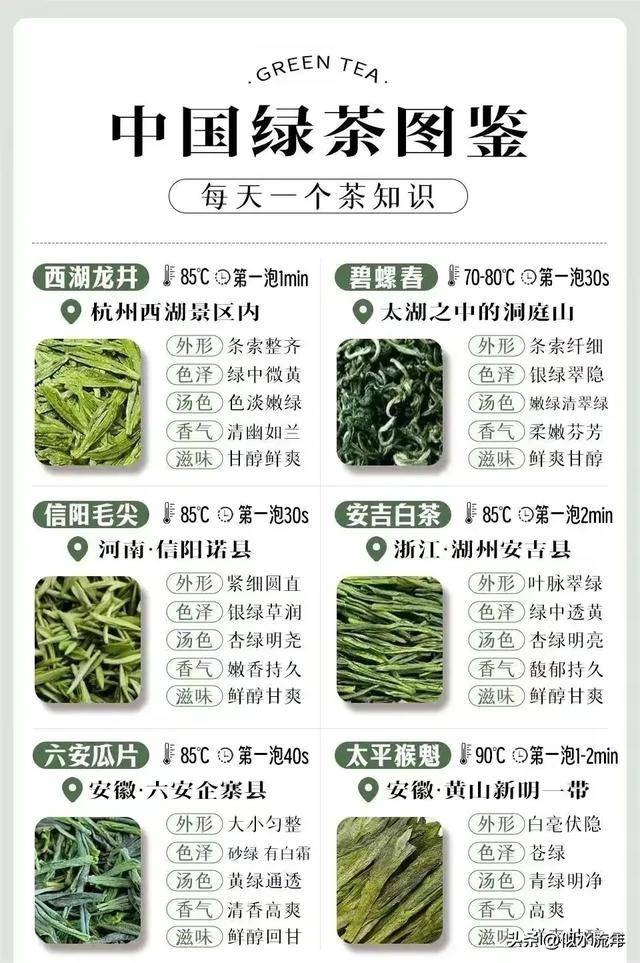 绿茶图鉴(品种,产地,外形,汤色,口感,冲泡温度及时间)