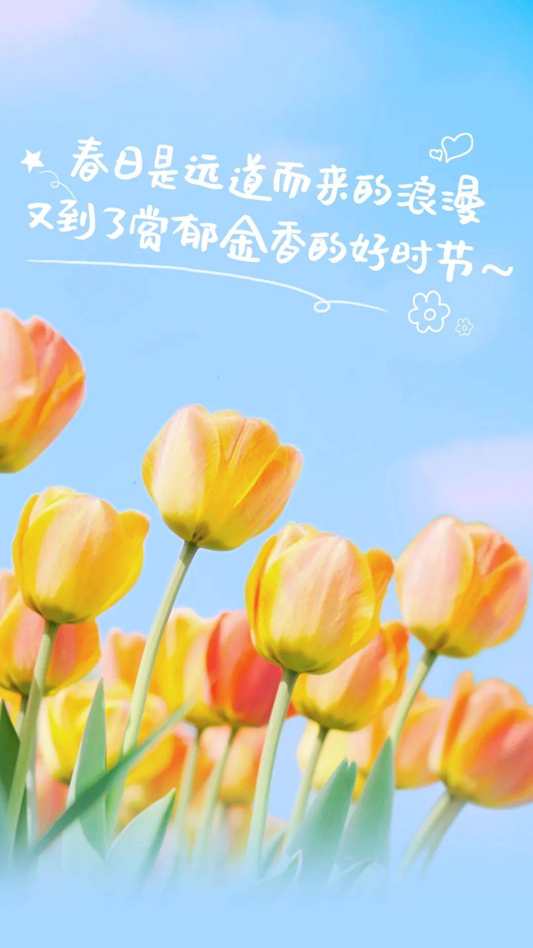 本次郁金香文化节以"生态,和谐,创新,发展"的设计理念,秉承"花融天下