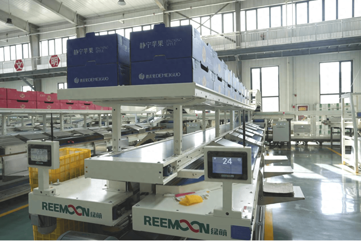 甘肃静宁苹果产业体系不断完善