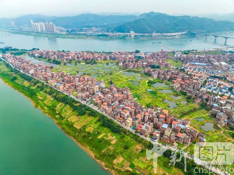 【中新社报道】长洲区:和美城乡春意浓_梧州市_广西_生态