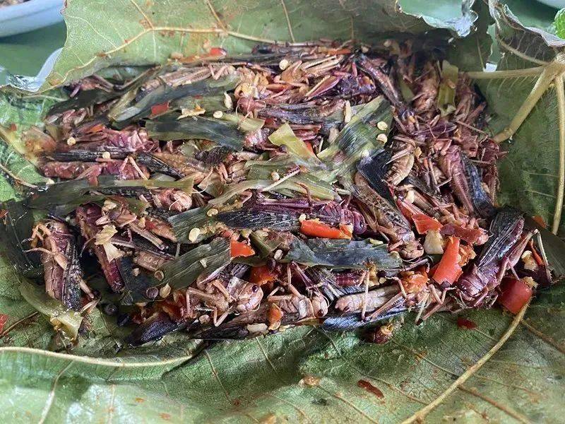 云南人的餐桌有多丰富