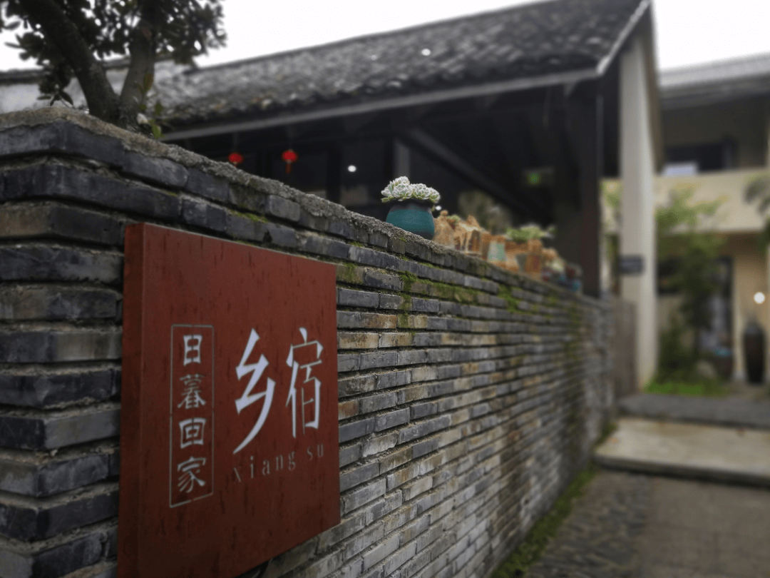 浙韵千宿丨扑面而来的春天,8条民宿春日踏青游线奉上!