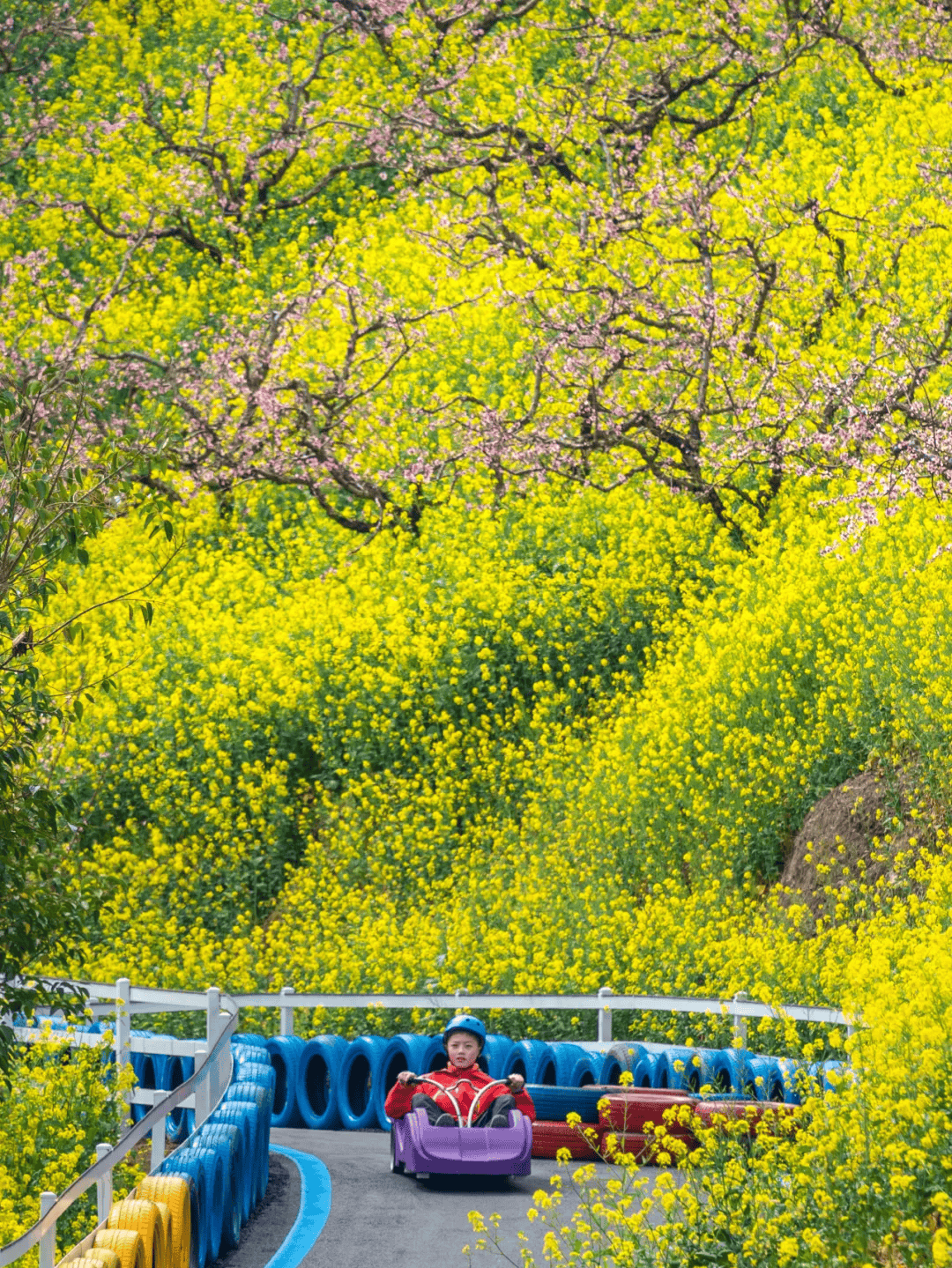 浙韵千宿丨扑面而来的春天,8条民宿春日踏青游线奉上!