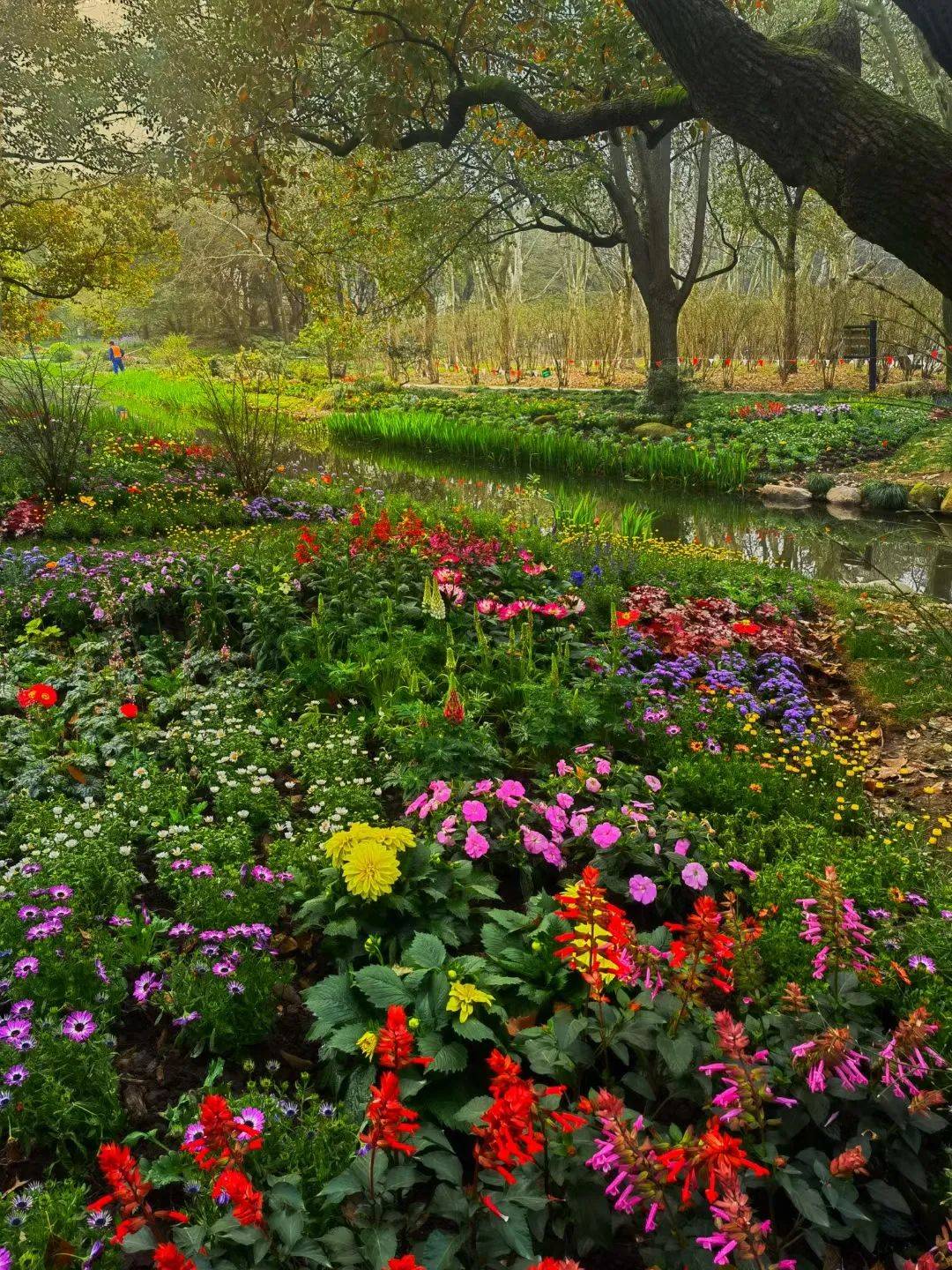 芳春""花影印象"四大展区,营造了"花语森林""锦绣花颜""莫奈花园"等