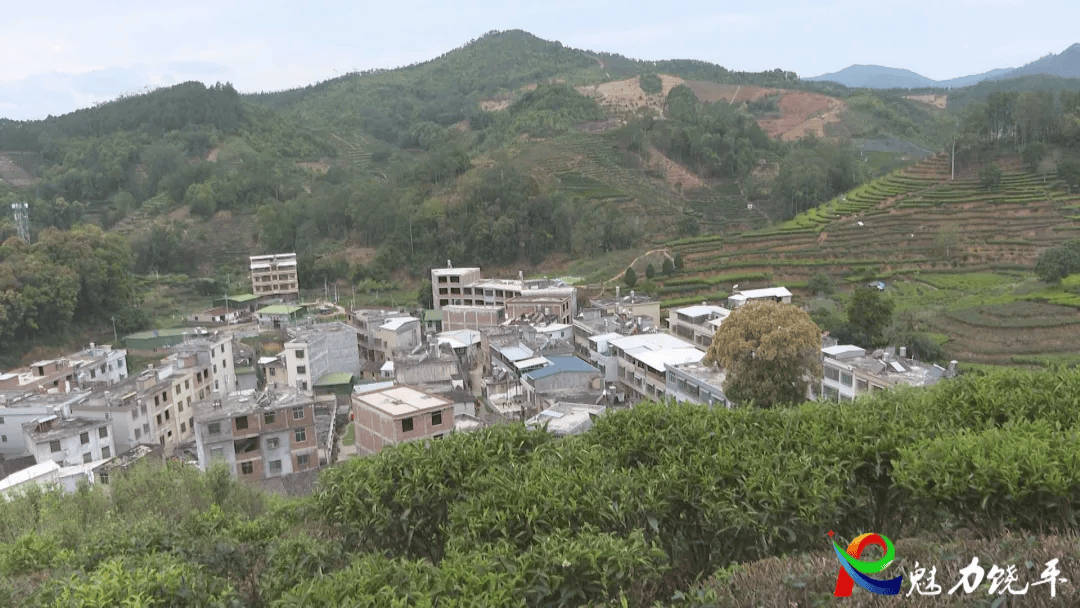 建饶镇和里洞村地处我县北部山区,属于亚热带海洋性季风气候,气侯温润
