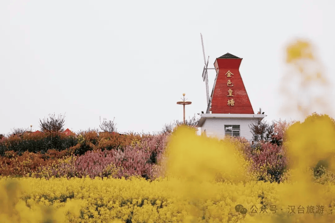 黄塘花海带给你的不仅是视觉上的盛宴,更是心灵上的慰藉.
