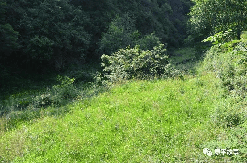 回顾原平屯瓦栈子沟黄土高原大氧吧