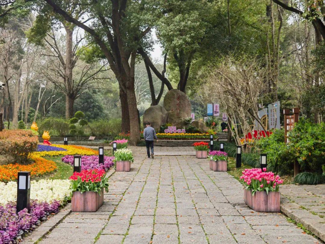 春花正当时奉上花展大礼包