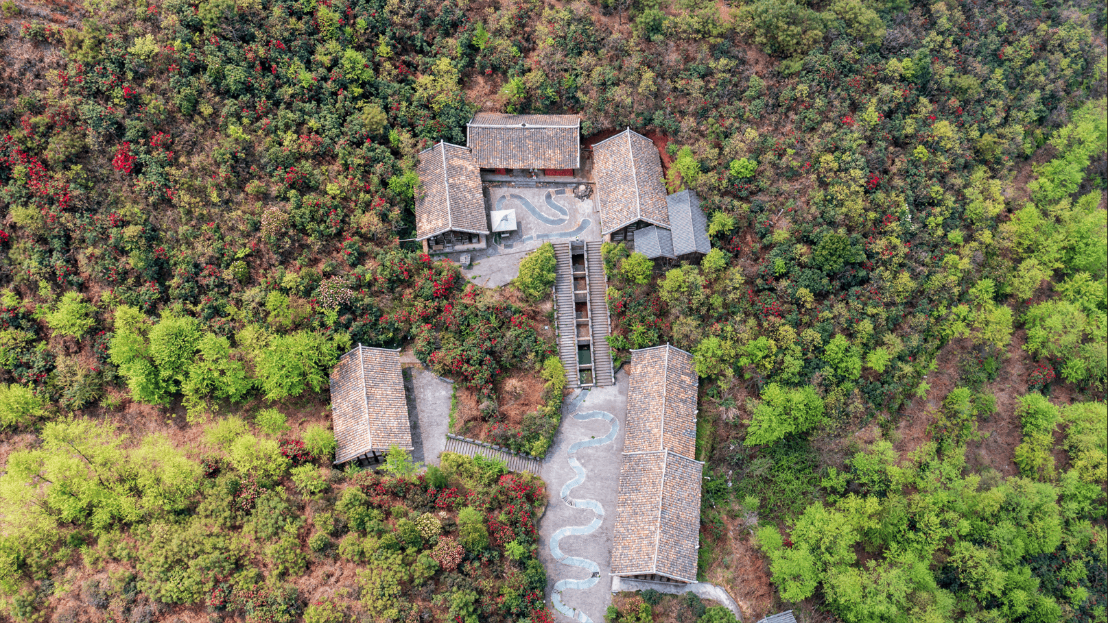 贵州水城宜人春色引客来