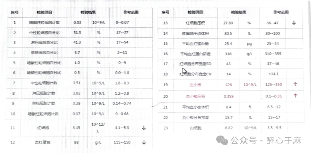 一例肺动脉高压并咯血患者行气管镜检查的麻醉管理