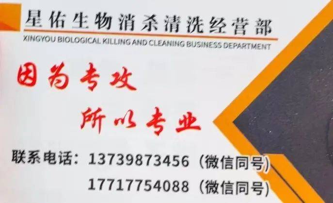 我们的消杀包括:除四害,灭