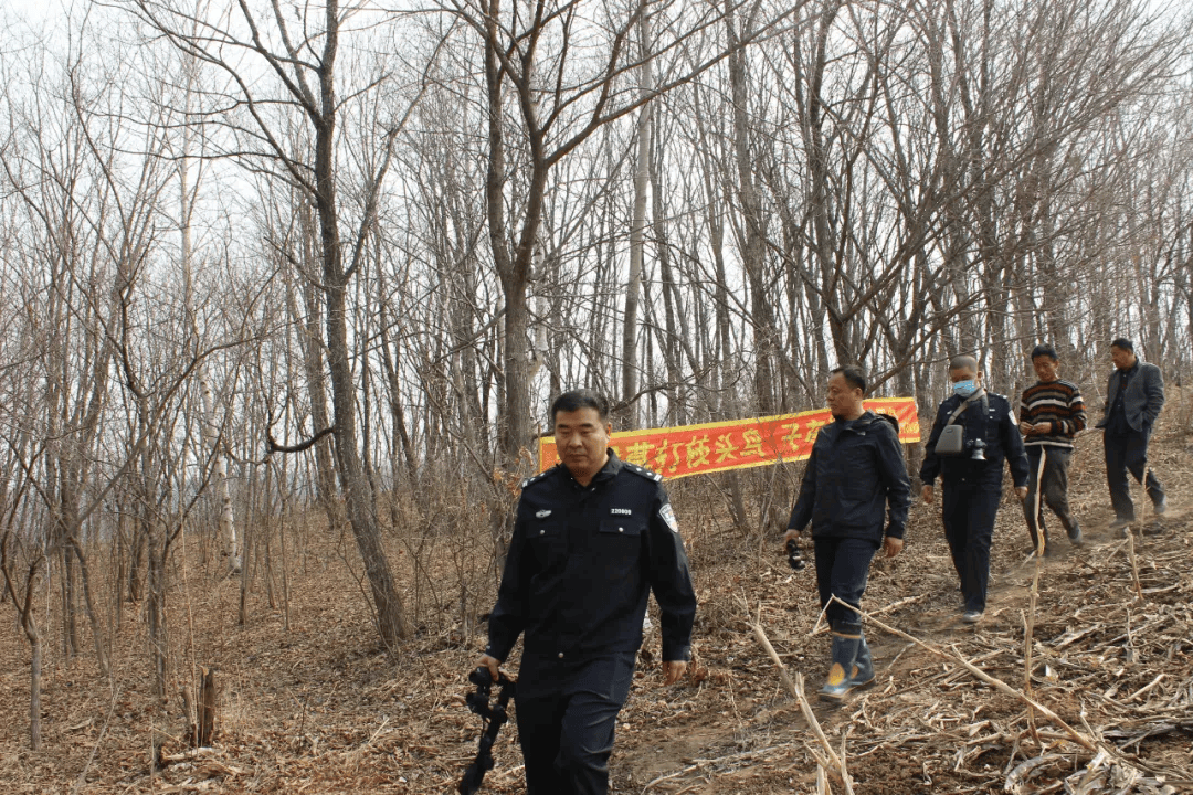 吉林省森林警察总队图片