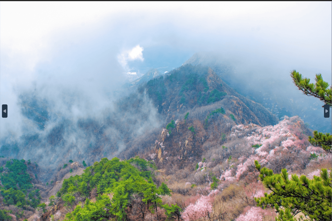 天津市盘山自然保护区图片