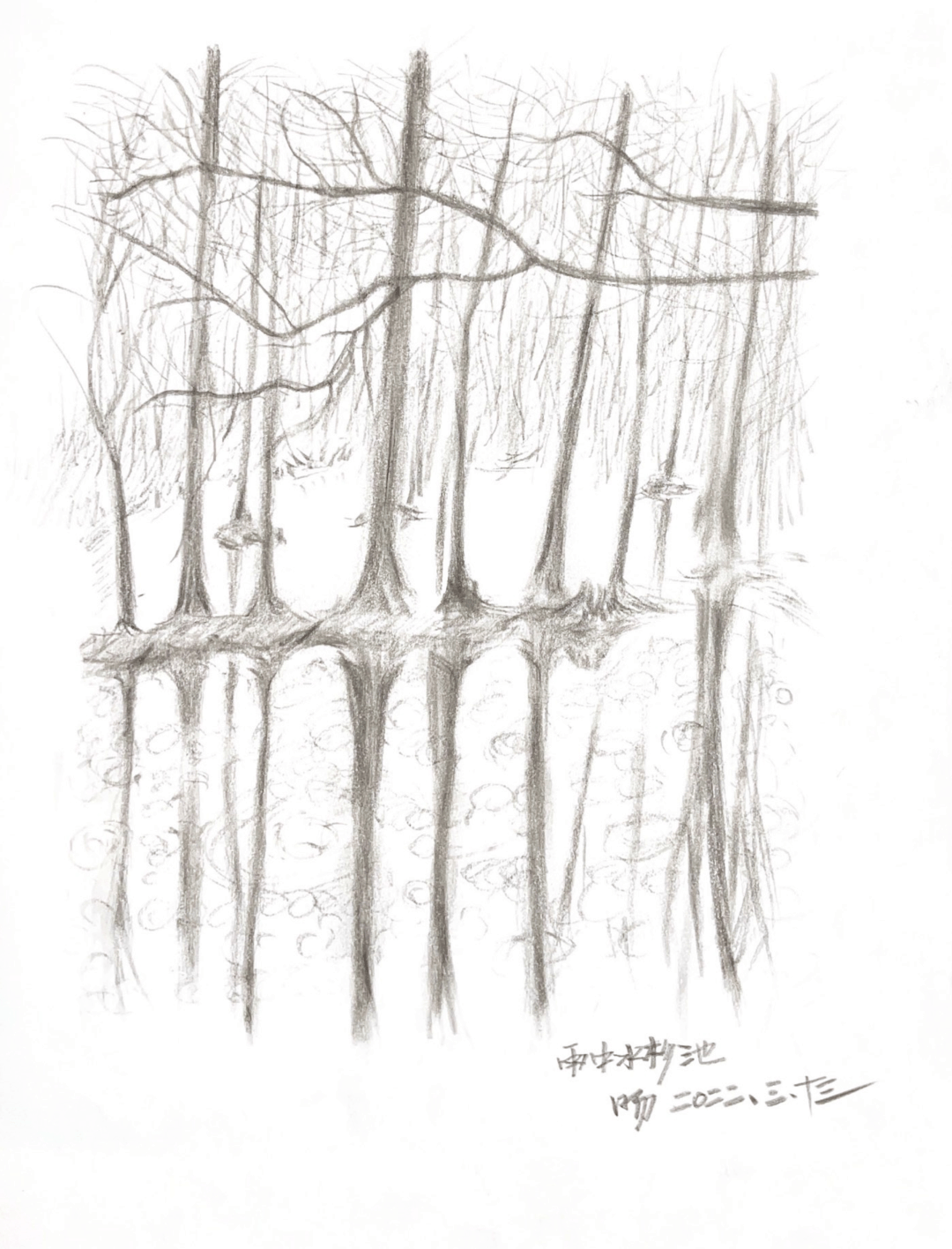 新作 | 桐乡濮院红旗漾杉林部落共享餐厅 | y.