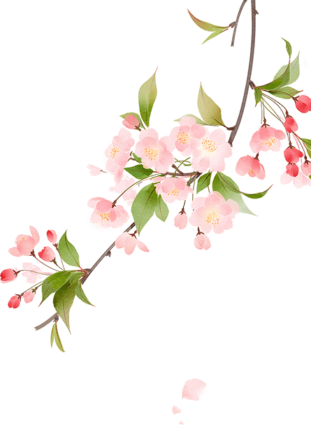 校园动态家长助教童样精彩示范幼儿园开展开展家长助教活动