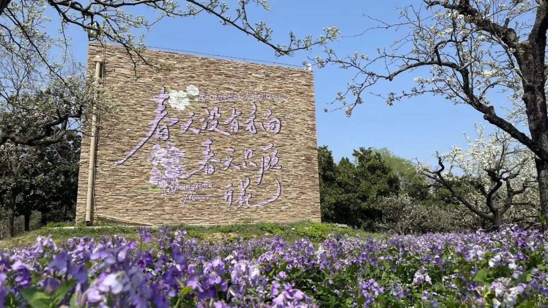 【最新花情】三台山梨兰会花开啦!拍照打卡正当时(附活动攻略)