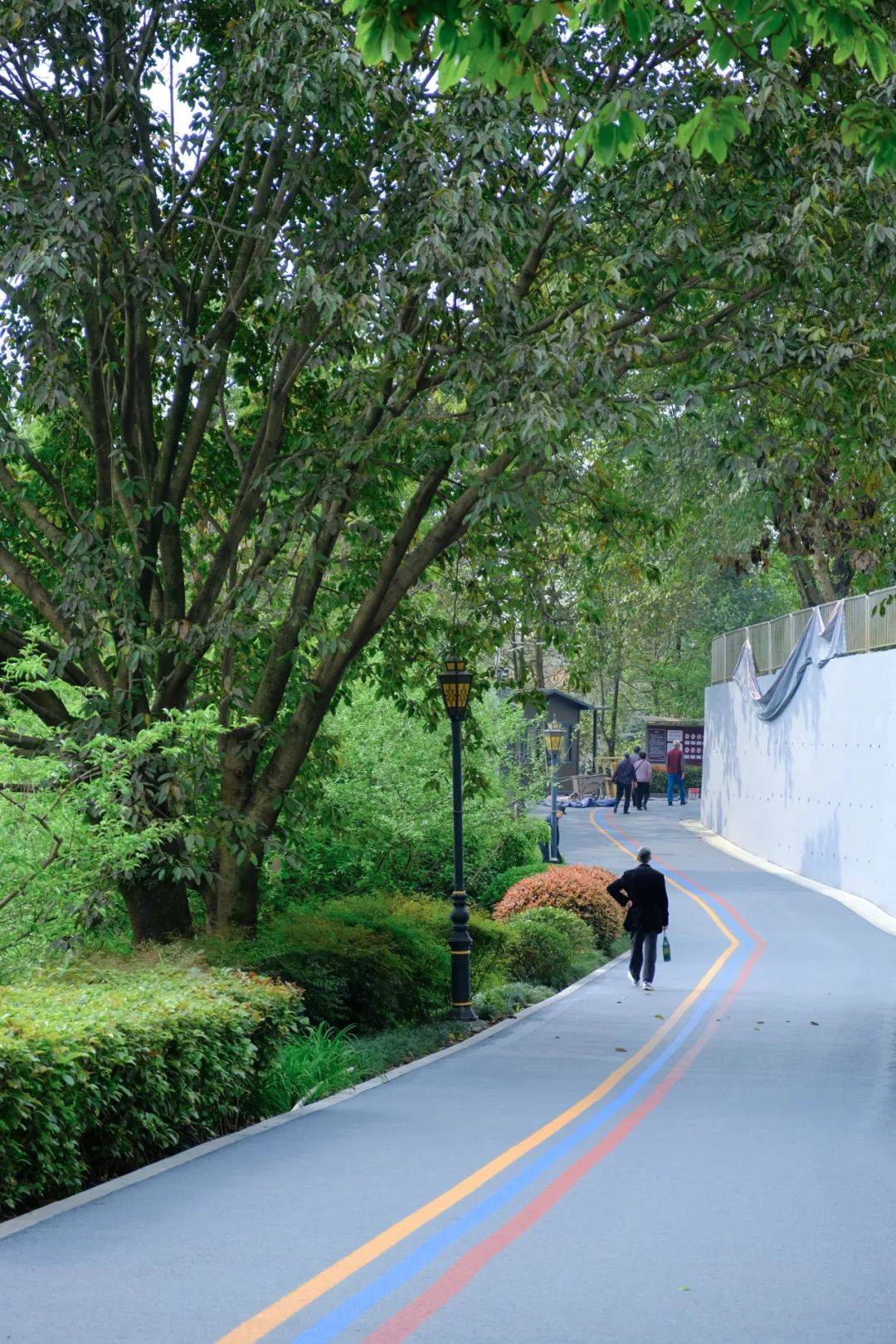 环湾区山脊步道图片