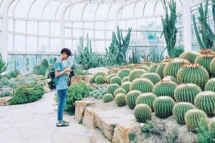 8个城市最适合学生党穷游疯狂安利