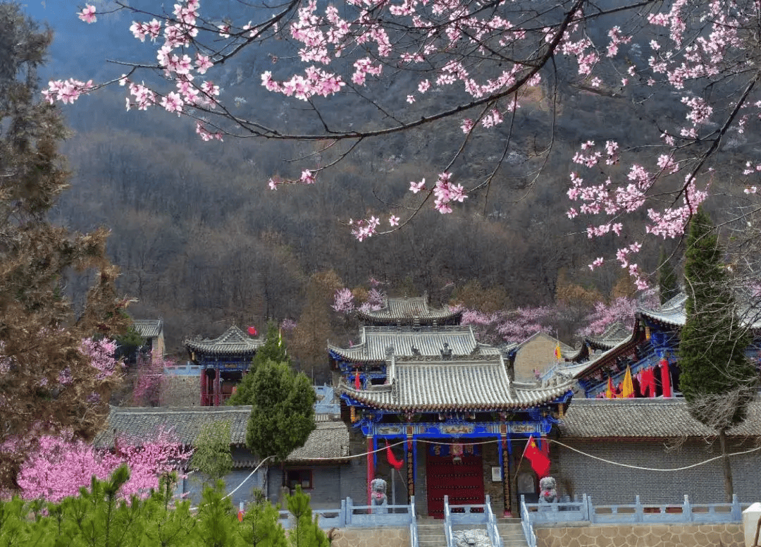 走崆峒山桃花开了
